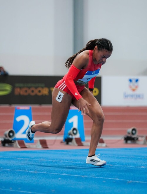 Jaël-Sakura Bestué Ferrera - img_0054.jpg